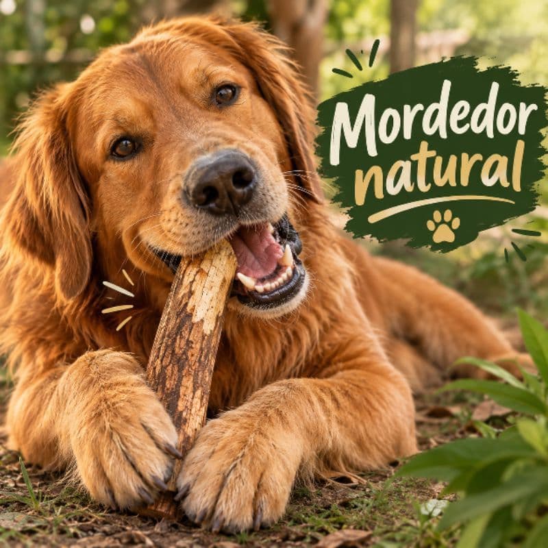 Mordedor de Madeira Natural para Cães - Brinquedo Durável e Saudável para Cães