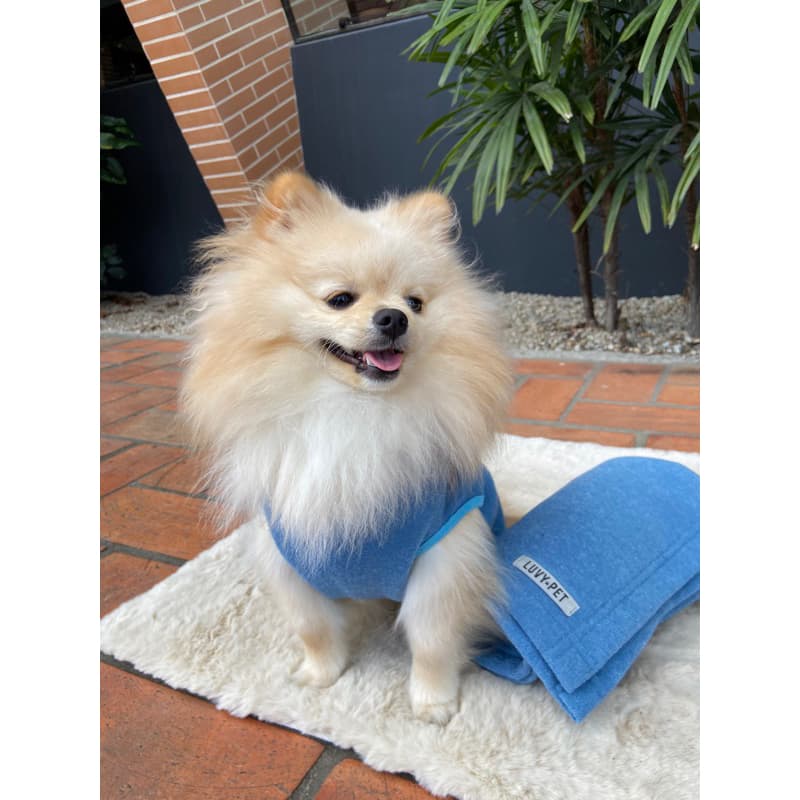 Kit Manta e Roupa para Cachorro e Gato