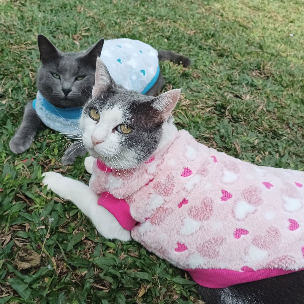 Roupa pet fleece de coração, roupa de frio para cachorro e gato, presente comemorativo