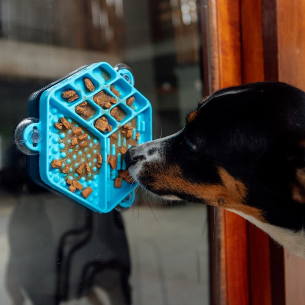 Comedouro Interativo Lambe Lambe para Cães e Gatos | Tapete Lambedor com Ventosa, Enriquecimento Ambiental - Petiko