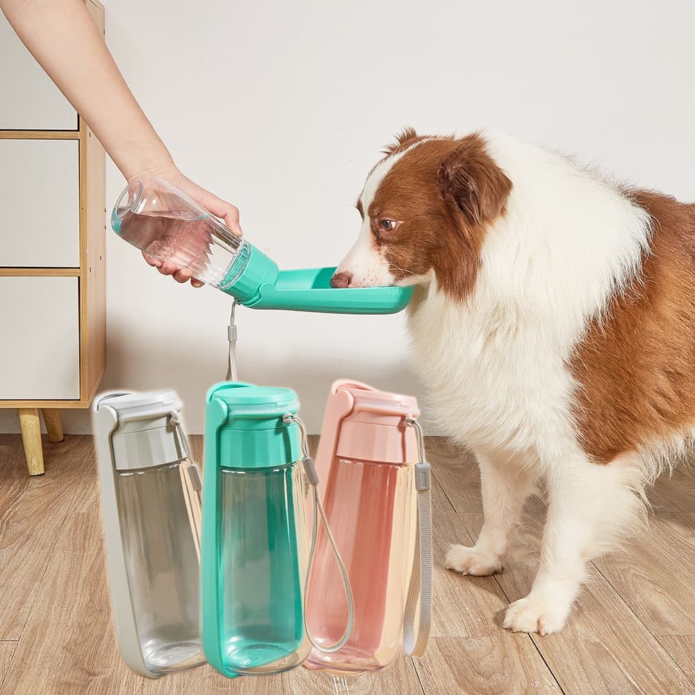 Bebedouro Para Cachorro Garrafa Pet Bebedouro Portatil Pet 550ML Com Trava Saída Agua Snel Pets