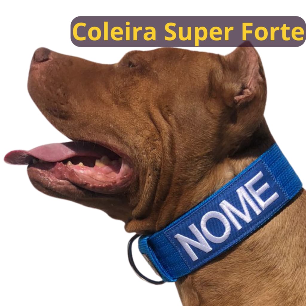 Coleira personalizada para cachorro de médio e grande porte.
