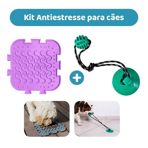 Kit Anti-Stress Quebra-Cabeça + Push Ball - Para Cães - Tam. G - Petiko | Tapete de Lamber, Dispenser de Petiscos