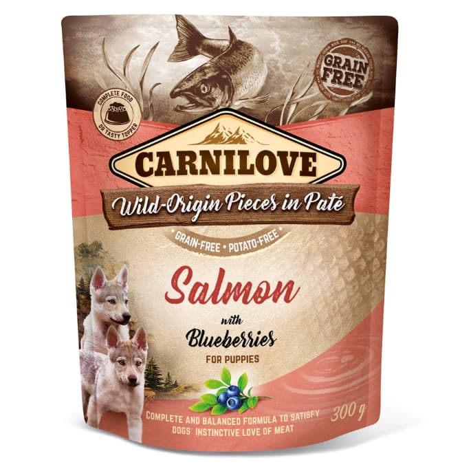 Patê Salmão com Mirtilos 300g Cães Adultos Carnilove