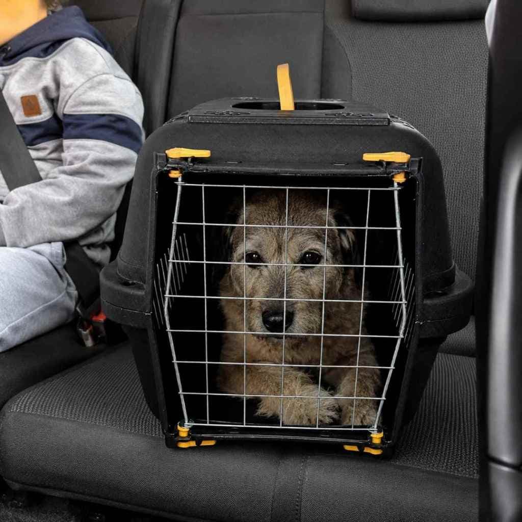 Caixa Transporte Cachorros Cães Gatos Coelhos Pets N1 N2 N3 Pequeno Grande