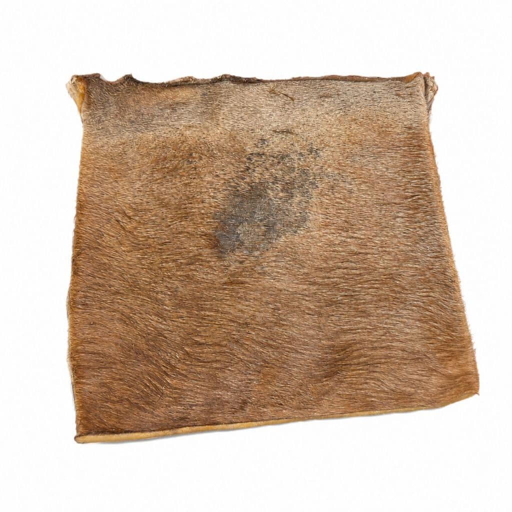 Pele Bovina Lisa 2uni Desidratada para Cães | Petisco Natural Lecker