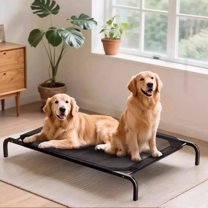 Cama Para Cachorro Suspensa Em Aluminio Elevada Pet Cachorro Super Resistente 90x60cm/102x69cm