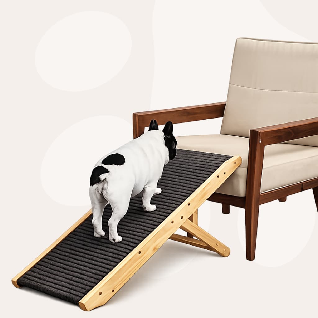 Rampa Pet P/ Cachorro Gato Antiderrapante Segura 50cm