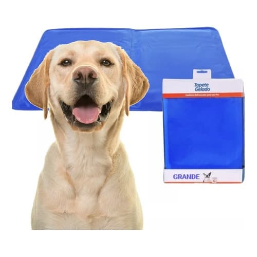 Tapete Gelado Para Pet Cachorro Gato Grande 50x65 Durável