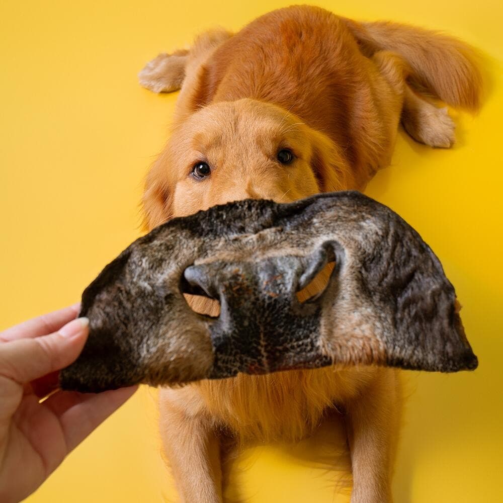 Focinho Bovino Mordedor Natural para Cães 1 unid - Paparico