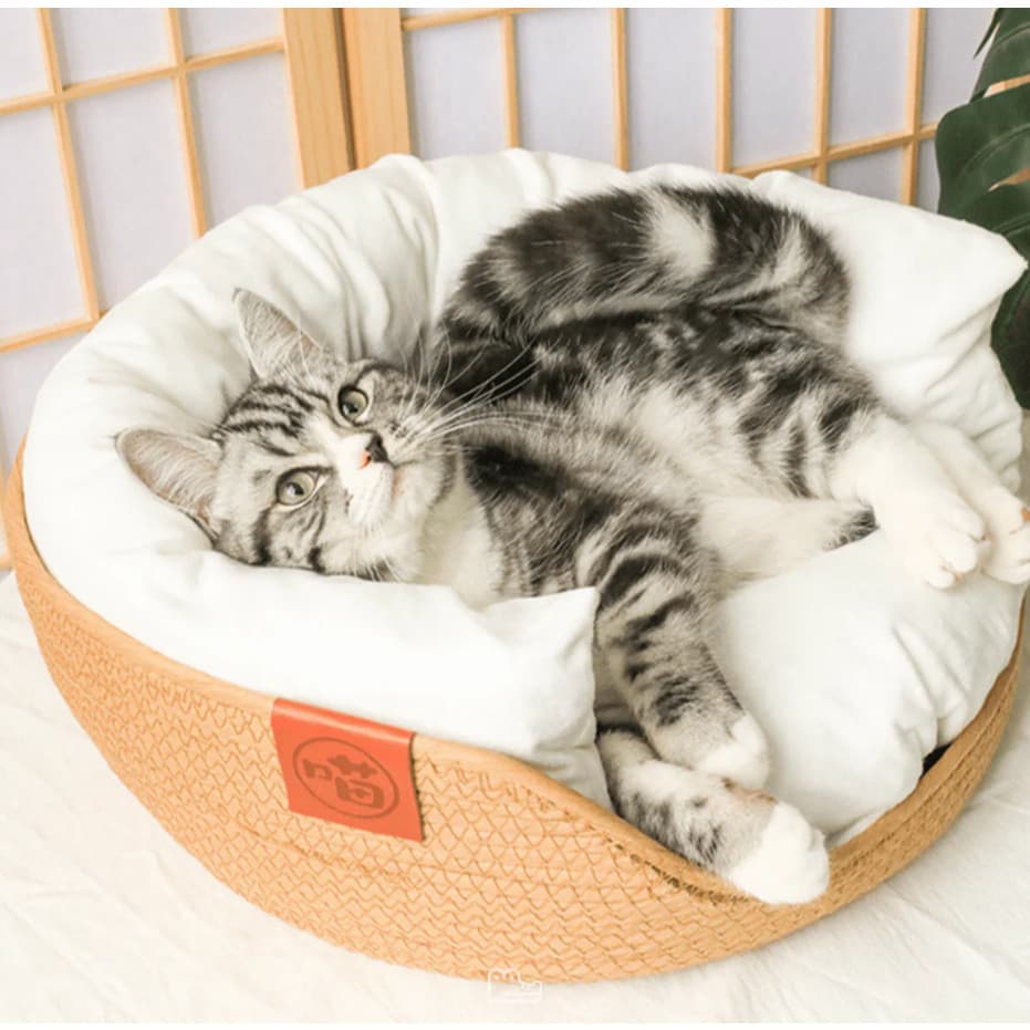 Cama de Bambu Natural para Pet com Travesseiros