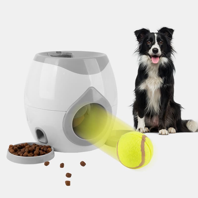 Brinquedo interativo para cães com petiscos e máquina de recompensa, tênis de tênis para pets brincarem dentro de casa