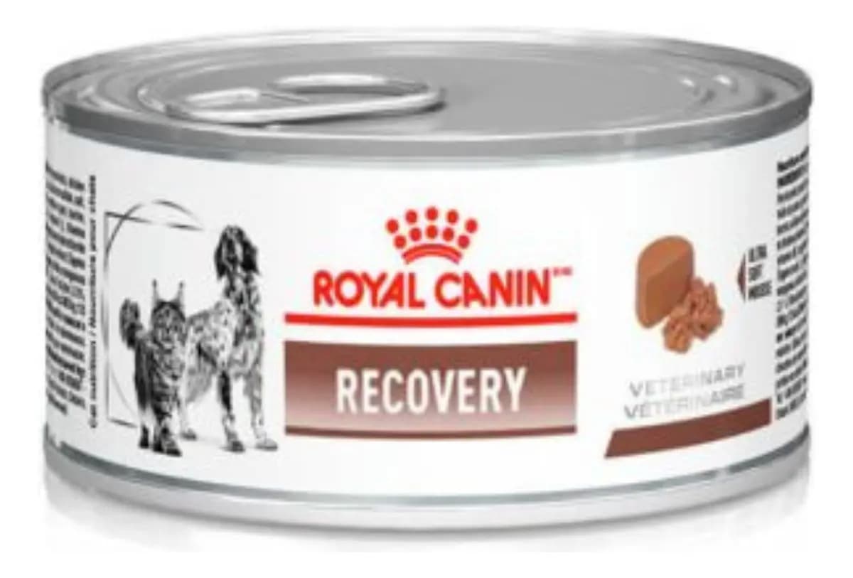 Ração Úmida Royal Canin Lata Veterinary Diet Recovery para Cães e Gatos em Recuperação 195g