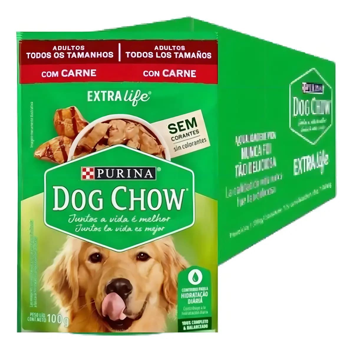 Caixa Fechada 15 Sachês 100g Ração Úmida Pet Dog Chow Carne