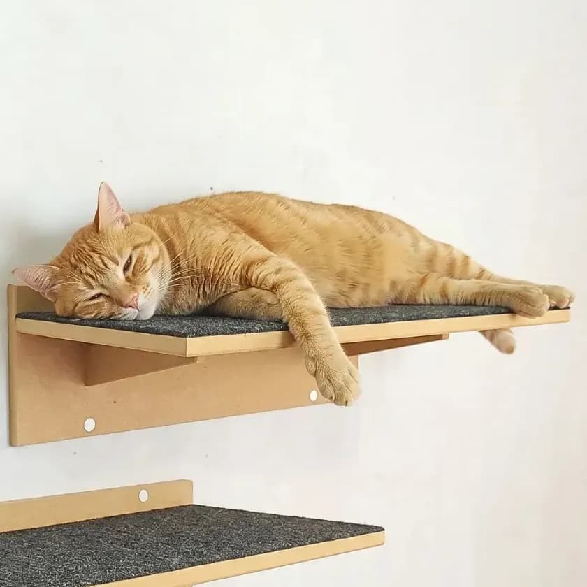 Prateleiras Escalada Gatos Grande Mdf Cru C/carpete Cj 02pçs Cor Carpete Grafite