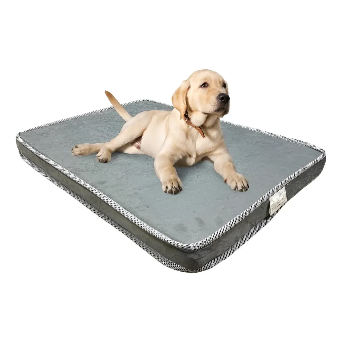 Comfortwell Colchão Pet Ortopédico Caminha Cama M Premium Para Cães Gatos Cor Cinza