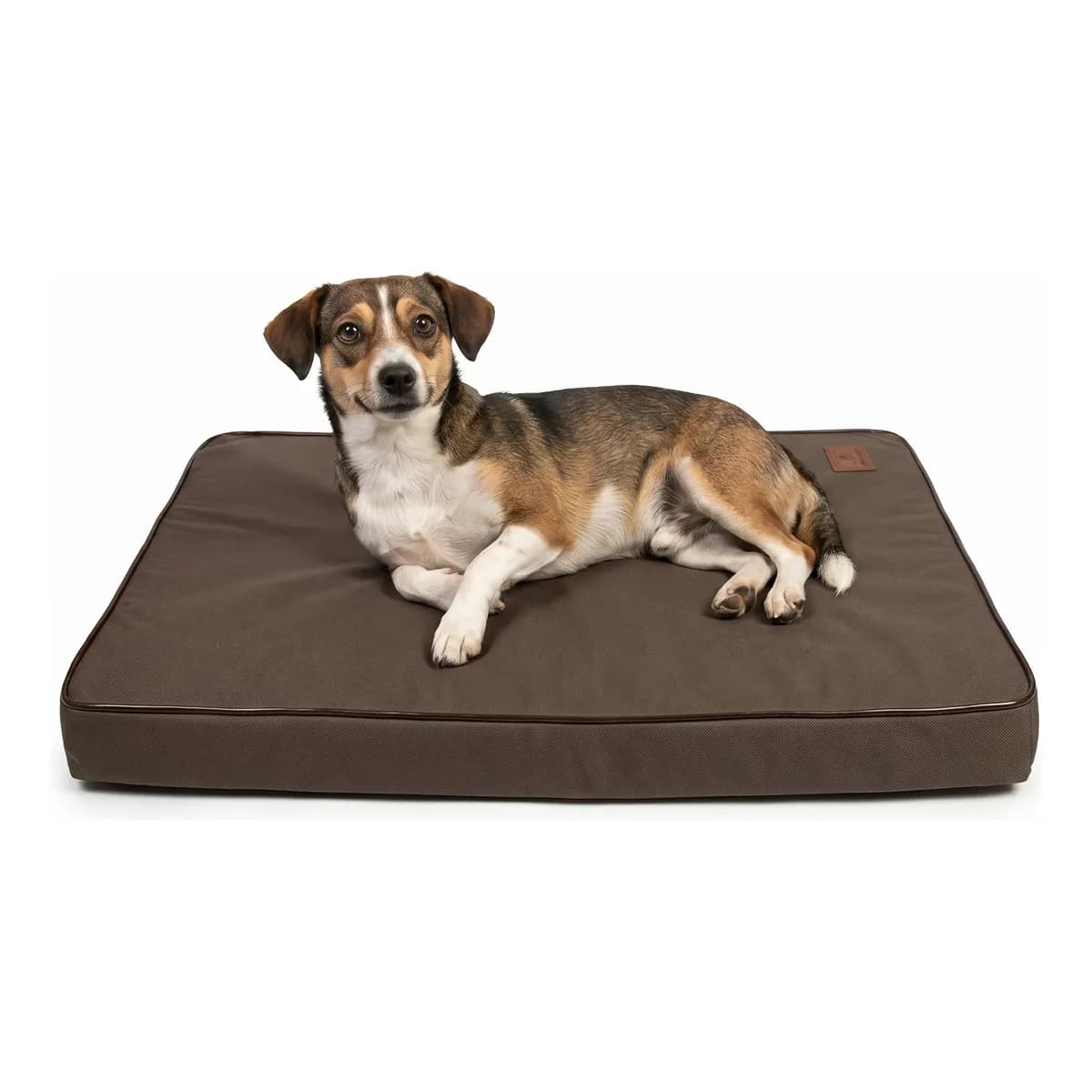 Cama Pet Colchão Ortopédico Para Cachorro Lavável Resistente Cinza-escuro Liso