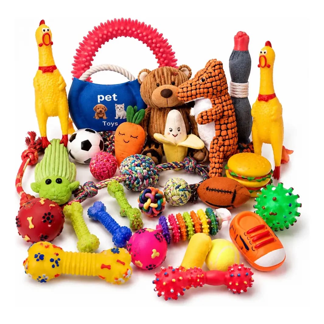 Kit 10 Brinquedos Mordedor Cachorro Filhote Antiestresse