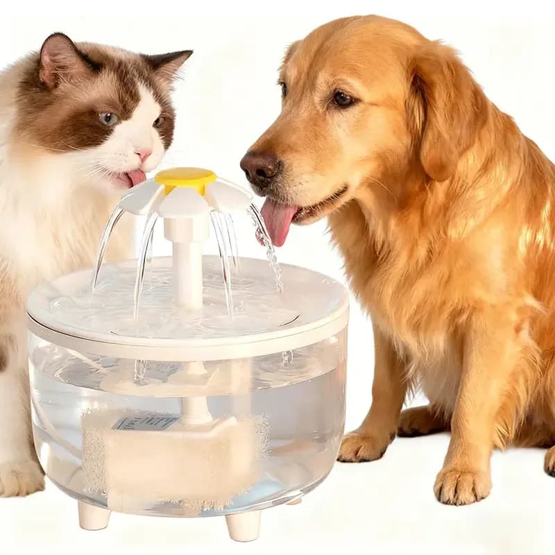 Fonte Bebedouro Automático Usb Miw 1,5l Para Gatos E Cães 127/220v Transparente