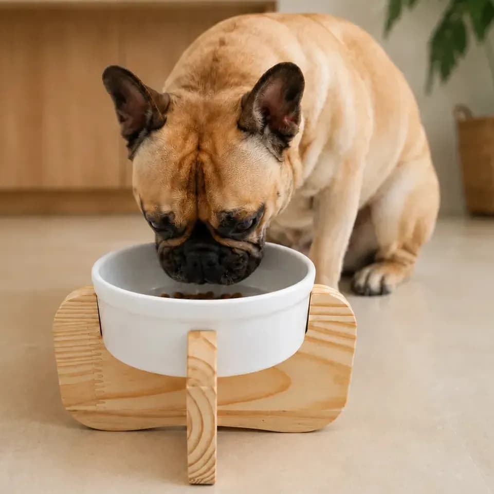 Comedouro Elevado Mádela Para Cachorro E Gato Com Porcelana Porte P E M