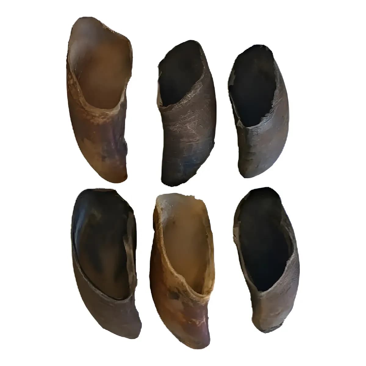 Kit 6 Casco Bovino 100% Natural Indeterminada
