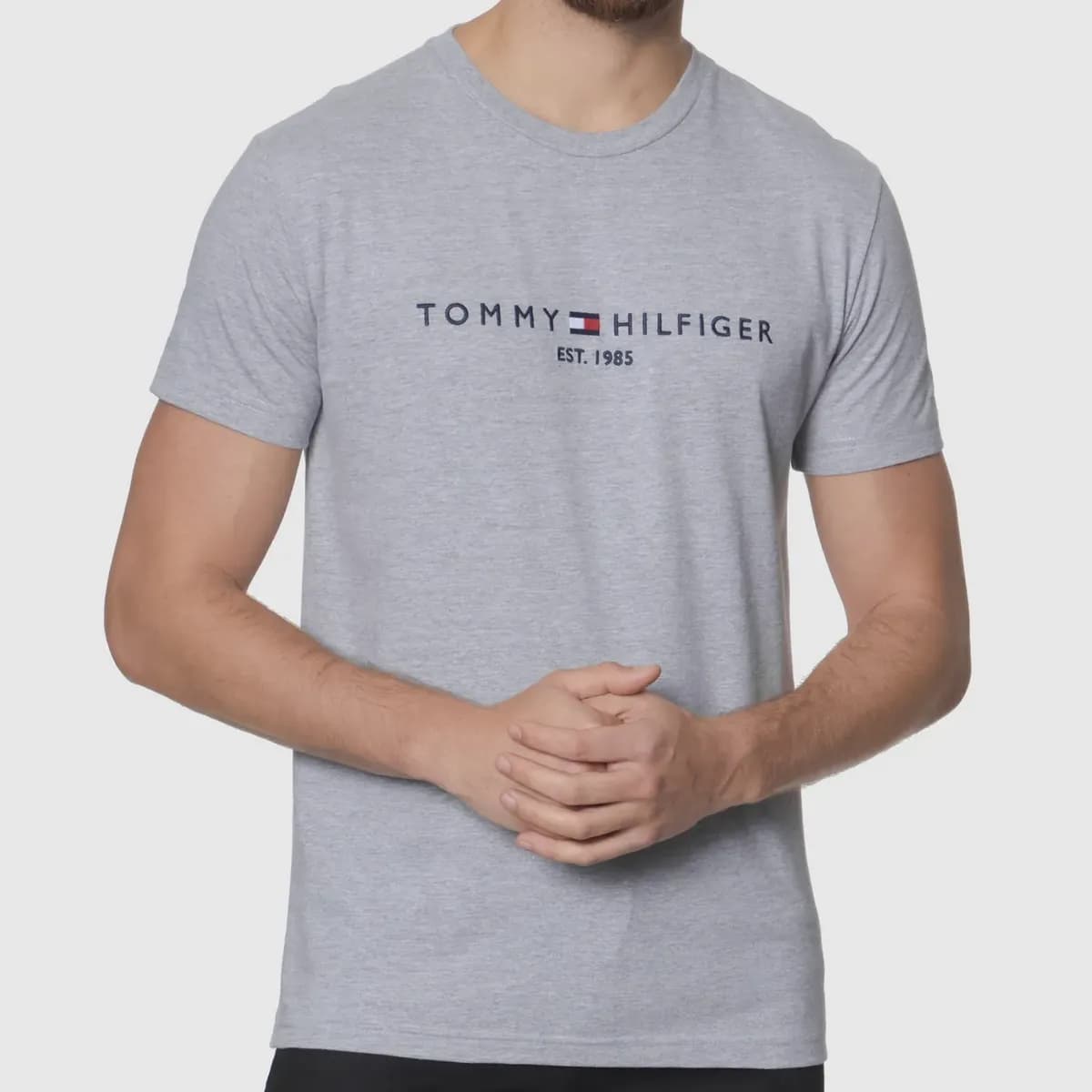 Camiseta Tommy Hilfiger Im Core Logo Light Grey Heather N/a Gg Liso