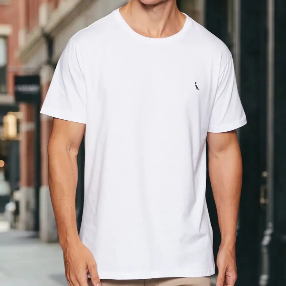 Camiseta Regular Vento Reserva Masculina Branco Liso M
