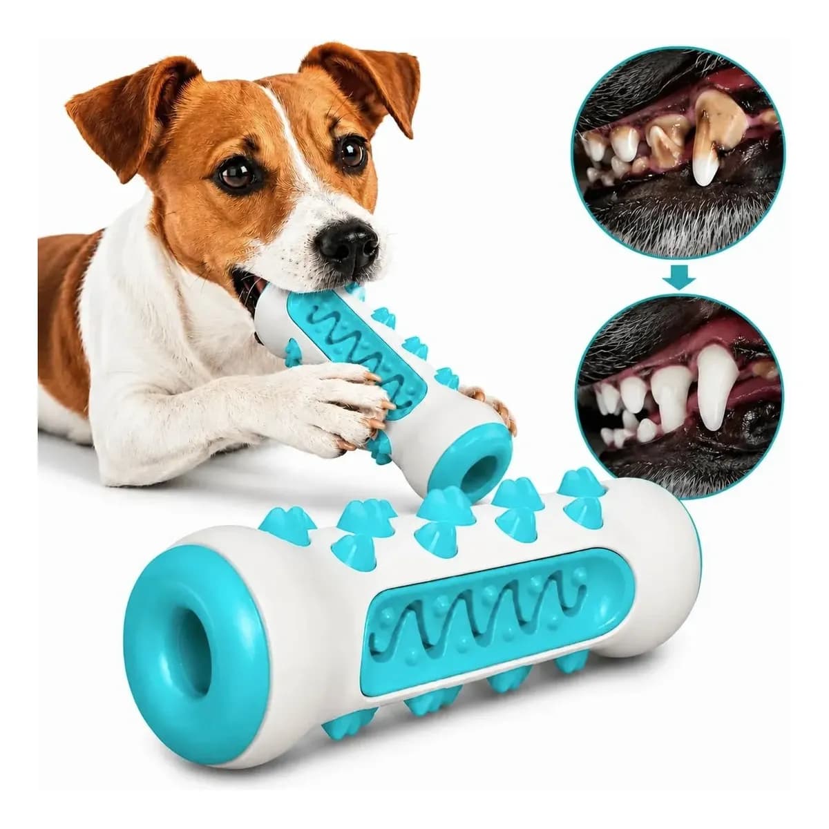Brinquedo Mordedor Resistente Anti Tártaro Pet Gato Cachorro Cor Sortida
