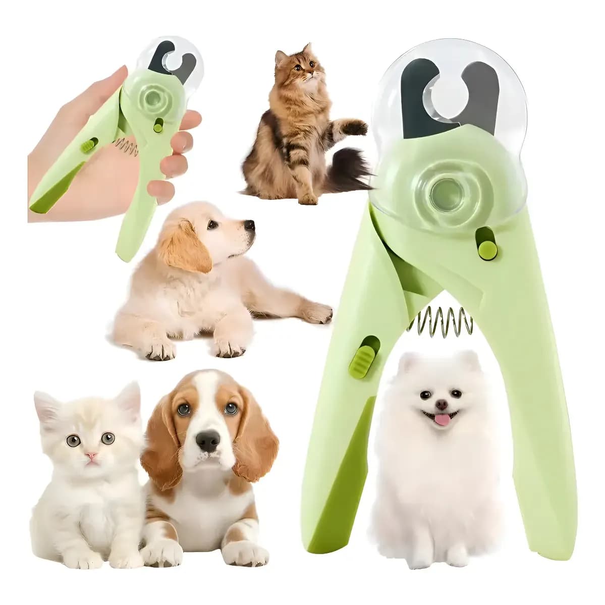 Cortador Unha Pet Cães E Gatos Com Luz Alicate Para Cachorro Verde/branco Pequenas E Médias