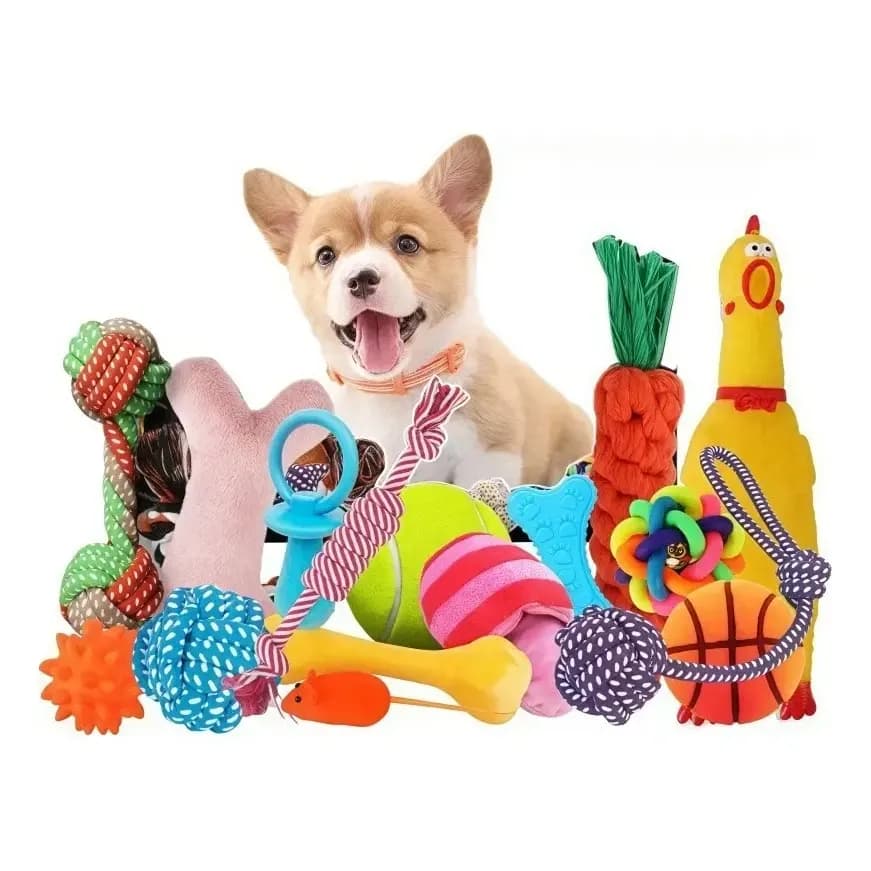 Kit 6 Brinquedos Mordedor Cachorro Filhote Anti Estress Pet