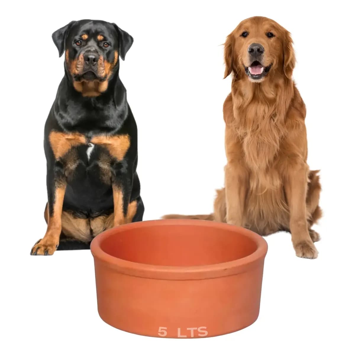 Bebedouro De Barro Ceramica 5 Lts Cachorro Cao Agua Gelada