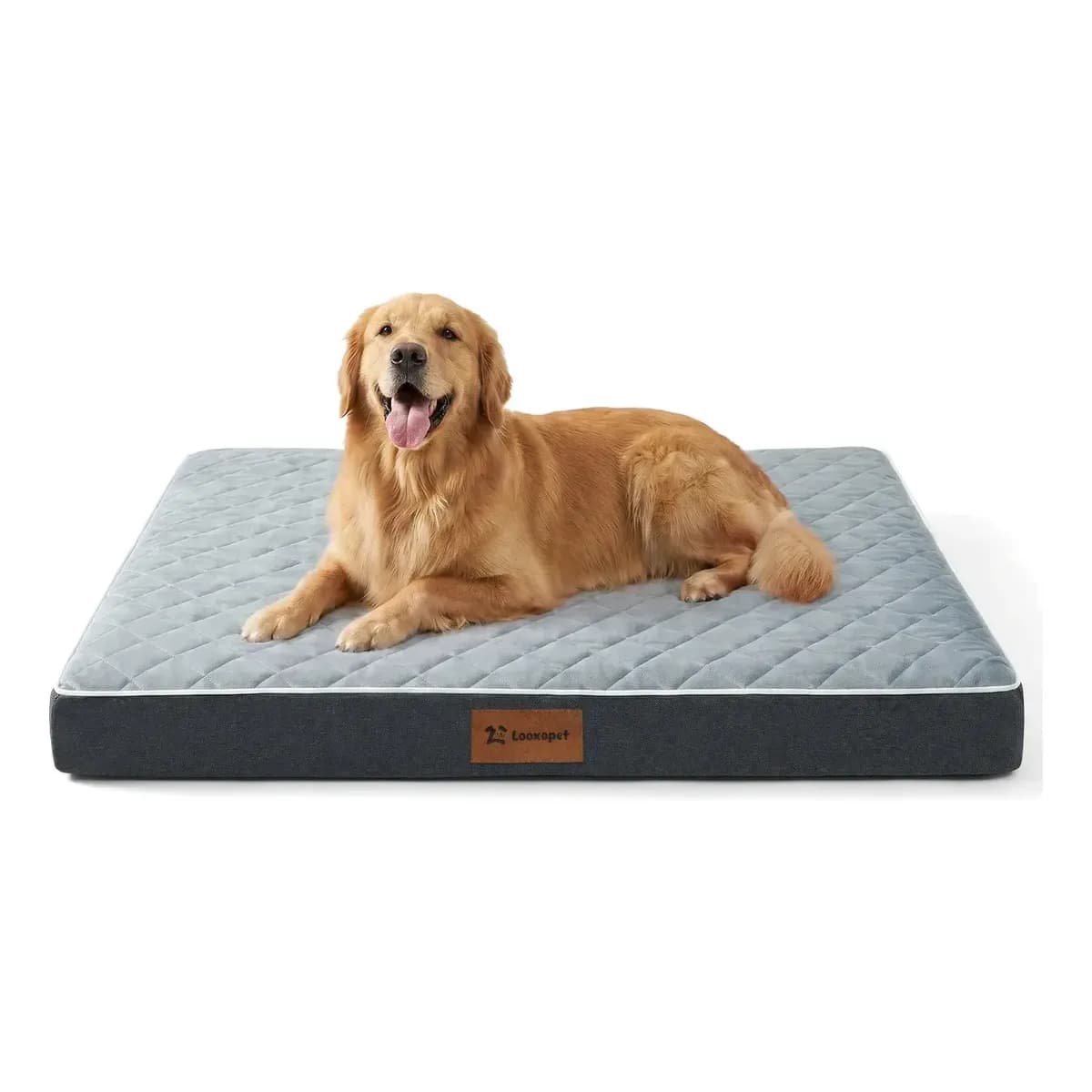 Cama Caminha Cachorros Pet Grande Ortopédica Espuma Viscoelástica Premium C/capa Lavável 90×67×9
