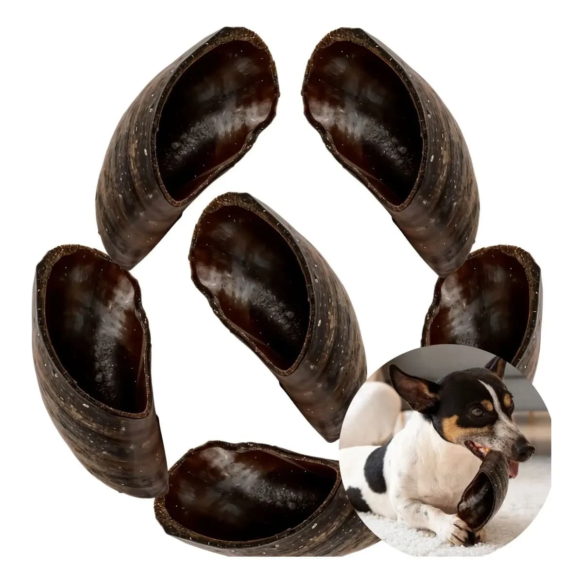 Mordedor Pet Natural 6un Casco De Boi Para Caes Bovino Preto