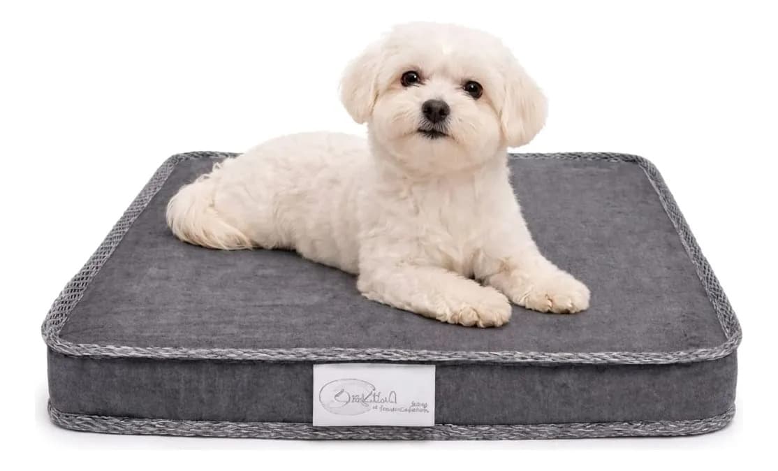 Colchão Cama Para Cachorro Gato Ortopédico Pet