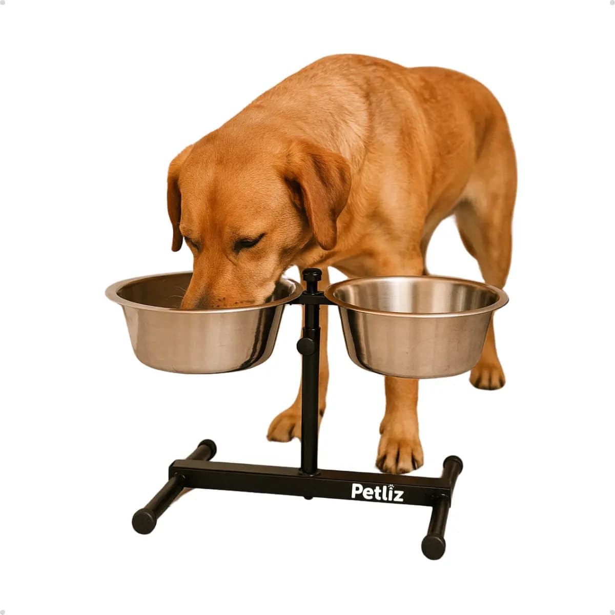 Comedouro Elevado Duplo Regulável Ajustável Cães Médio Preto