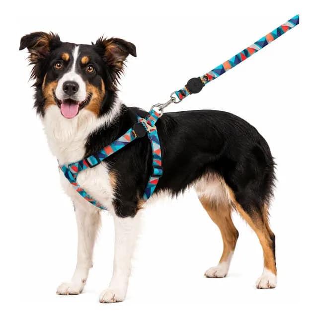 Coleira Peitoral Cachorro Porte Pequeno E Medio