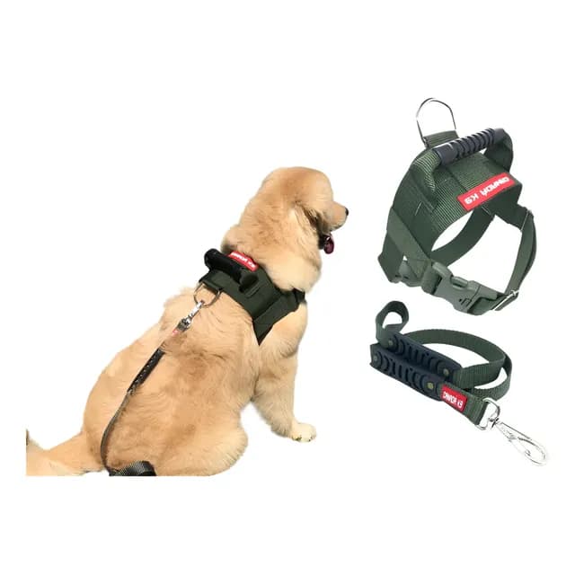 Peitoral + Guia Golden Retriever Labrador Canada K9