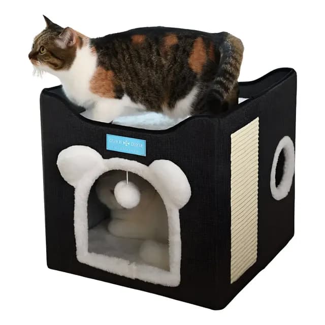 Arranhador Cama Gato Casinha Pet 2 Gatos Toca Dois Andares