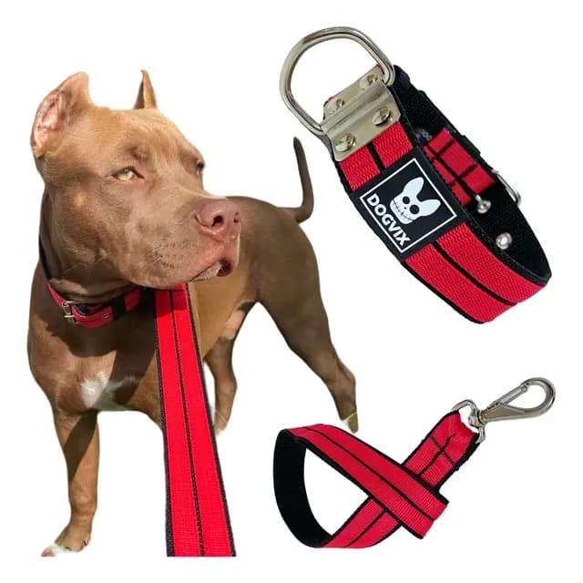 Coleira + Guia Forte Para Cachorros Pitbull Pet Grande Porte