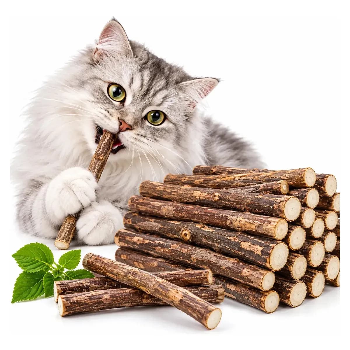 Matatabi Varas Gatos Catnip Limpa Dentes Kit Com 20,30,50un Kit 20 Unid.