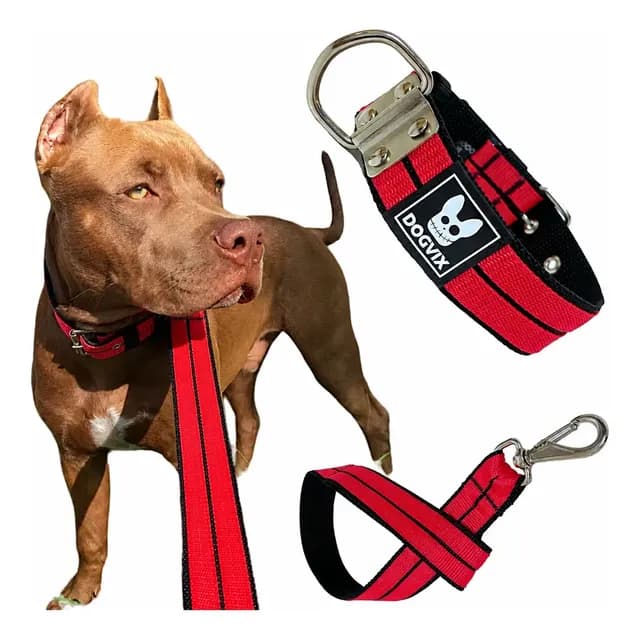 Coleira + Guia Forte Para Cachorros Pitbull Pet Grande Porte