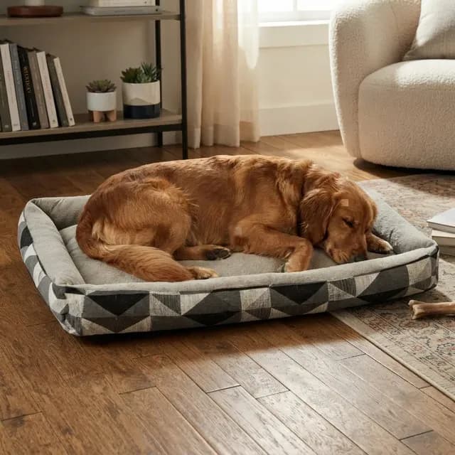 Cama Para Cachorro Grande Cama Pet Xg Gigante Impermeável