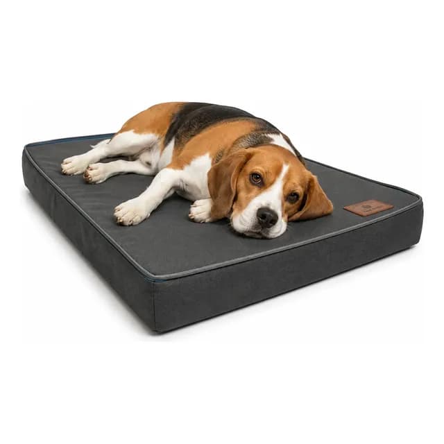 Cama Colchão Pet Colchonete Para Cães Lavável Resistente M