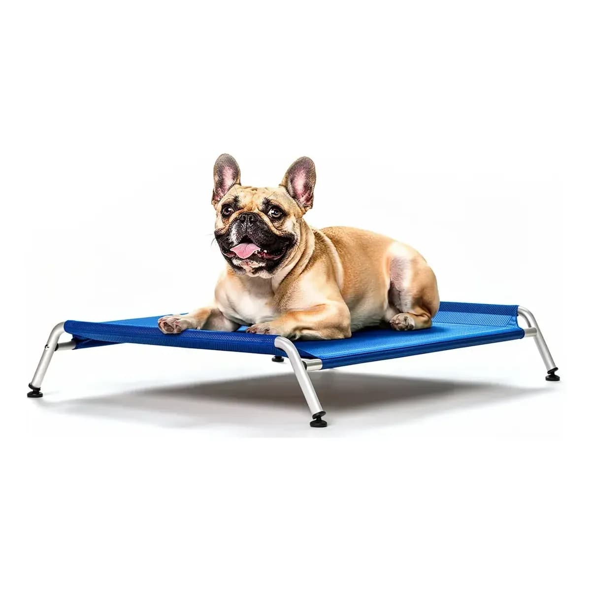 Cama Para Cachorro Médio Suspensa Cama Para Pet Porte Médio Lavável 75x50 Azul Dogets