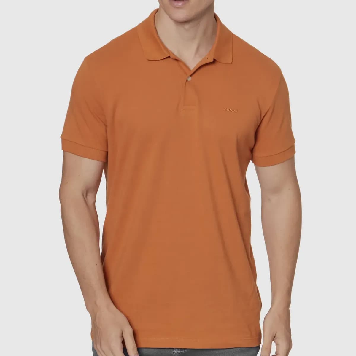 Camisa Polo Colcci Masculino 025.01.03115 Marrom Tuile Apenas Logo Da Marca M Liso