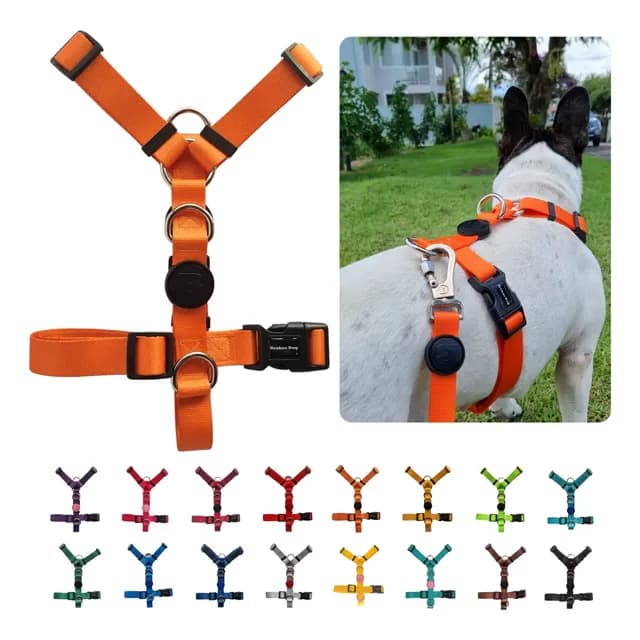 Peitoral H Antipuxão Para Cachorro Pet Cães Brabus Dog