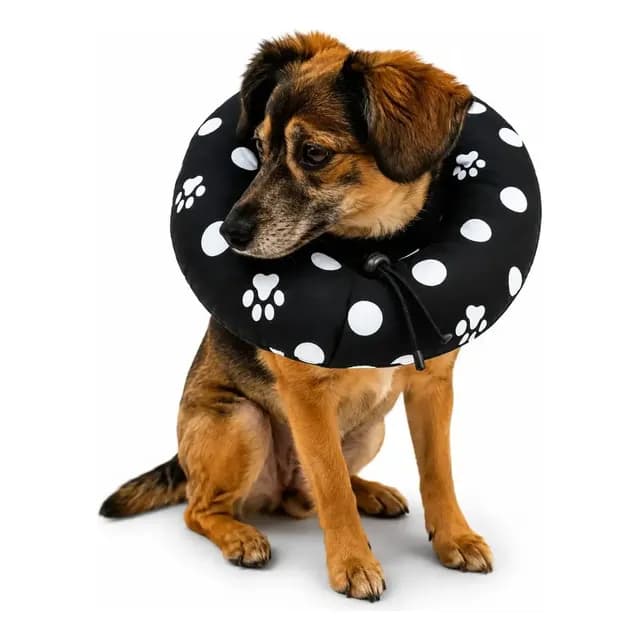 Colar Protetor Cirúrgico Para Cães E Gatos Ajustável Macio
