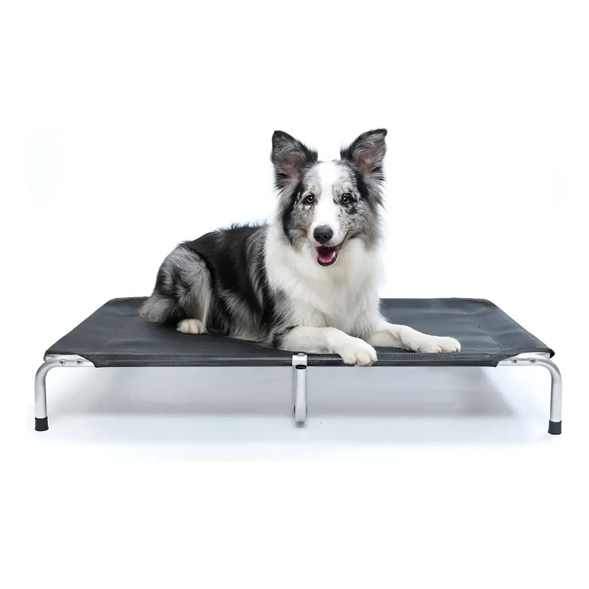 Cama Para Cachorro Grande Suspensa Cama Pet 90x60cm Dogets Preta